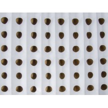 APP FKW 10 - Filtr kartonowy Kolor biały 90 cm x 10 m2(2)